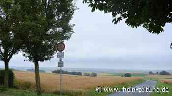 Weiterer Zuzug möglich: Neubaugebiet im Polcher Süden wird wohl größer - Rhein-Zeitung
