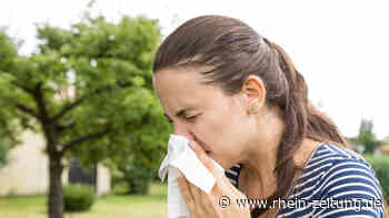Apotheker aus Andernach gibt Tipps: So kommen Allergiker gut durch den Frühling - Rhein-Zeitung