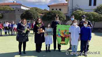 Con l'Albero di Falcone crescerà un bosco diffuso - Il Tirreno