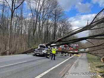 Detmold: Paderborner Straße nach Unfall weiter gesperrt - Freilichtmuseum erreichbar - Radio Lippe