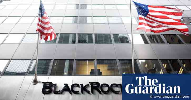 BlackRock urged to delay debt repayments from crisis-torn Zambia