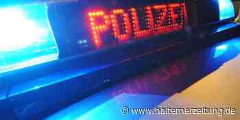 Rettungshubschrauber über Ascheberg: 65-Jähriger erleidet schwere Kopfverletzungen | Ascheberg - Halterner Zeitung