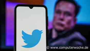 Verschnaufpause für das Management: Elon Musk will doch nicht ins Twitter-Board - Computerwoche.de Live