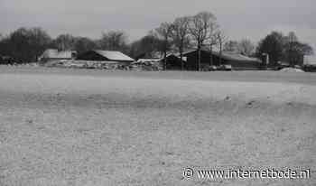 Steenbergen ontwaakt in de sneeuw, code geel vanwege gladheid - Internetbode