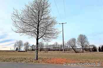 Nordhalben - Platz für Bürgersolarpark gefällt - Neue Presse Coburg