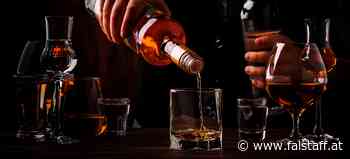 Die beliebtesten Spirits im Netz