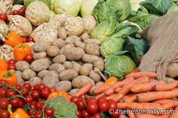 Wednesday farmers' market location permanently pegged - The Nelson Daily