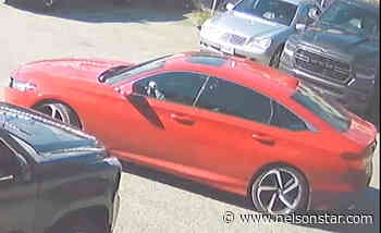 Police release identity of man murdered in Maple Ridge – Nelson Star - Nelson Star