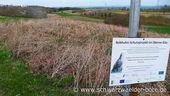 Gemeinderat Mötzingen: Verwaltung legt künftig einen vierteljährlichen Finanzbericht vor