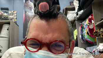 Monsieur Chipo à Dax : petite animalerie où les animaux sont les bienvenus - France Bleu