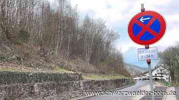 Bauprojekt in Schramberg - Jetzt will noch ein Investor am rutschenden Hang bauen - Schwarzwälder Bote