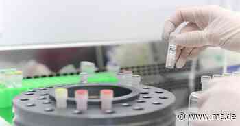 985 neue Corona-Fälle: Inzidenzwert steigt an - Mindener Tageblatt