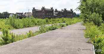 Politik reagiert gespalten auf angekündigte 20-Millionen-Euro-Investition für Multihalle - Mindener Tageblatt