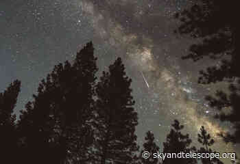 Celebrate Spring with the Lyrids