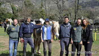 Andare a cavallo a Pisa: il Centro ippico La Cartuja di Calci - PisaToday