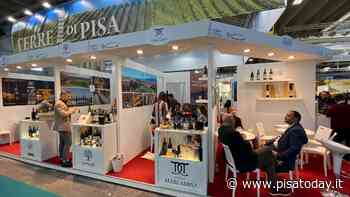 Il Vinitaly riparte: 10 aziende pisane protagoniste a Verona - PisaToday