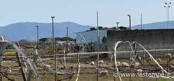 Pisa, la base della discordia: “no” al maxi-progetto della nuova area militare dei carabinieri - La Stampa