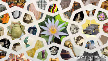 Pasqua nei musei del Sistema museale di Ateneo - PisaToday