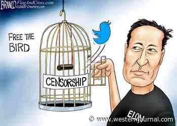 Free Bird
