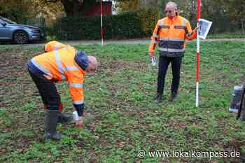 Baumchallenge geht weiter: Pflanzfeld in Wolfhagen ist vollständig mit Baumspenden gefüllt - www.lokalkompass.de