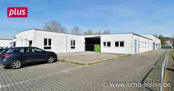 Wie geht's weiter mit dem „Apfelbaum“ in Heppenheim? - Echo Online