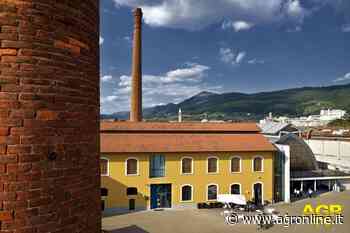 Prato - Tesori in Campolmi | Regionali AGR - AGR online