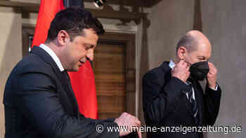 „Irritierend“: Scholz meldet sich zu Steinmeier-Eklat - Mehrheit der Deutschen ohne Verständnis für Ausladung