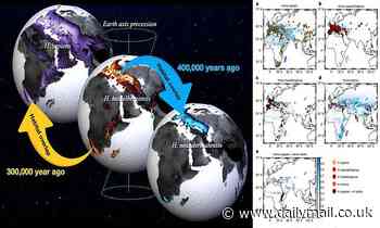 How 2 million years of shifting climates shaped our evolution