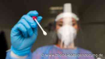 WHO besorgt wegen Rückgang von Corona-Tests