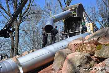 Chemnitzer Tierpark-Spielplatz nimmt Gestalt an | blick.de - Chemnitz - Blick.de