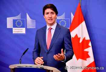 Trudeau welcomes talk of Russia's action in Ukraine as genocide - Ottawa.CityNews.ca