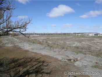 Sutcliffe: Next owner of the Ottawa Senators has a chance to do some city-building - Ottawa Citizen