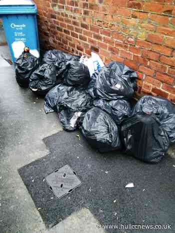 Successful fly tipping prosecution across the city - Hull CC News