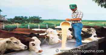 The cost of gain and manure as a revenue source