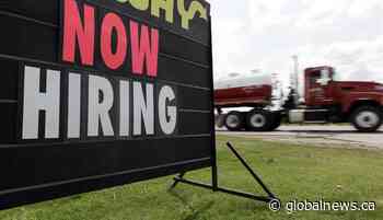 Unemployment rate down in Saskatchewan compared to 2021 - Global News