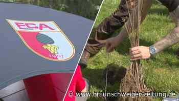 "FCA-Wald": FC Augsburg startet mit Bepflanzung