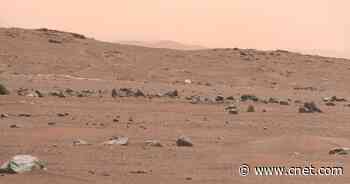 NASA Perseverance Mars Rover Snaps Wreckage of Its Own Landing System     - CNET