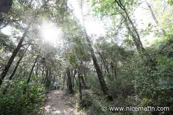 Le décret définissant la "protection forte" des espaces naturels publié au Journal officiel