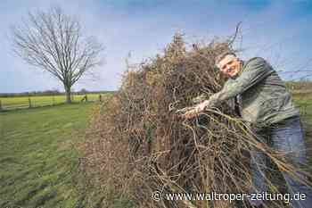 Osterfeuer 2022 in Waltrop: Vorfreude in der Gartenstadt und bei den „Röhrken“-Nachbarn - Waltroper Zeitung