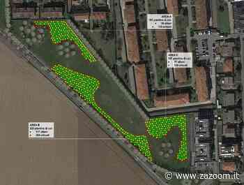 Solaro | un memoriale per le vittime del Covid nel nuovo bosco urbano in corso Berlinguer - Zazoom Blog