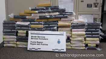 Couple sentenced for smuggling 84 kg of cocaine at Coutts border - Lethbridge News Now