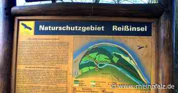 Reißinsel wieder bis 1. Juli für Besucher gesperrt - Rheinpfalz.de