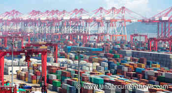 Shipping operator warns of Shanghai diversions for refrigerated containers - Undercurrent News