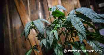 Wilmington sets date for retail cannabis revote | Local News | reformer.com - Brattleboro Reformer