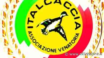 Italcaccia, rinnovate le cariche dell'associazione: Cofrancesco presidente - Ottopagine