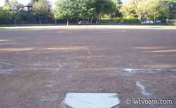 Girls Softball: Coldwater splits with Gull Lake, Bronson sweeps Springport - WTVB