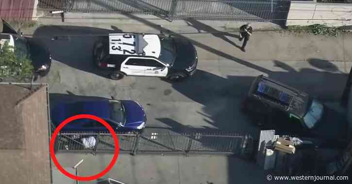 'Come On Guys, He's Right There!' Suspect Hides Right Next to Cops After Live Police Chase