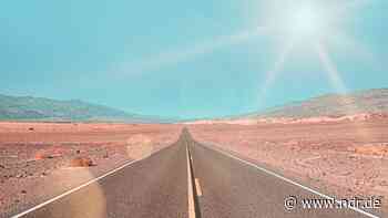 Wonder Valley (1/2) - NDR.de