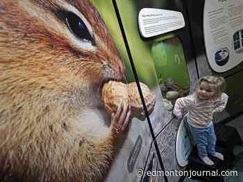 John Janzen Nature Centre unveils fresh look, new critters after two-year closure