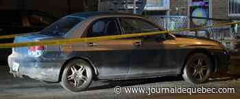 Plus inquiet de l’aileron que des victimes